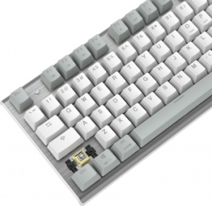  A4Tech Fstyler FS100 Neon  / USB for gamer LED (FS100)