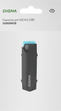  Digma  SSD DGRDRM2B 