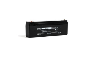   SKAT SB 12022 ( : 2539)