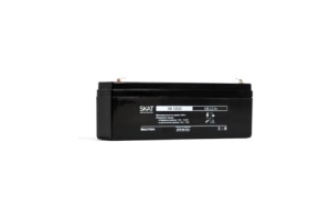   SKAT SB 12022 ( : 2539)