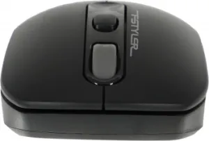  A4Tech Fstyler FG10 /  (2000dpi)  USB (3but)