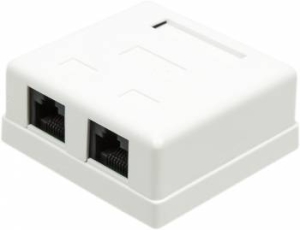  TWT (TWT-SM2-4545-WH)  2  RJ-45  5. UTP. 
