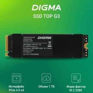  SSD Digma PCI-E 4.0 x4 1Tb DGST4001TG33T Top G3 M.2 2280