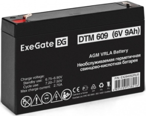   ExeGate DTM 609 (6V 9Ah,  F1)