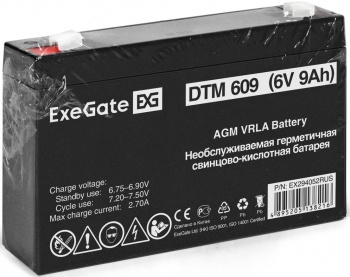   ExeGate DTM 609 (6V 9Ah,  F1)