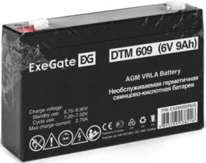   ExeGate DTM 609 (6V 9Ah,  F1)