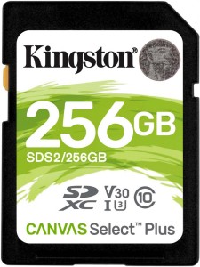   Kingston SDS2/256GB 256Gb SDXC